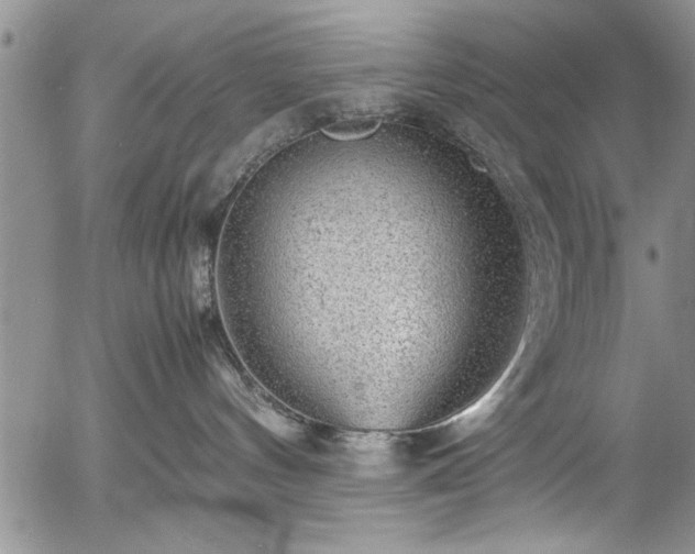 X0000054370144200508011230