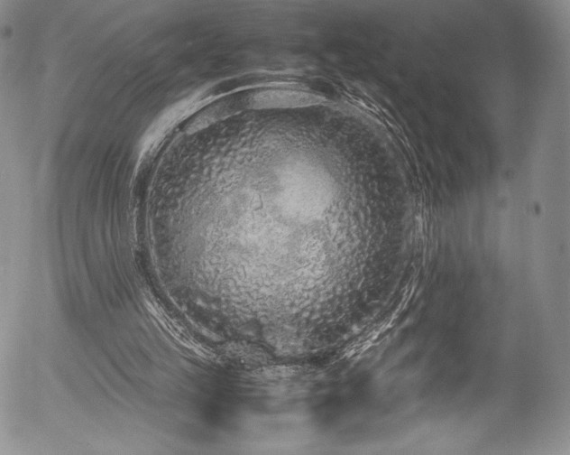 X0000054370149200508011229