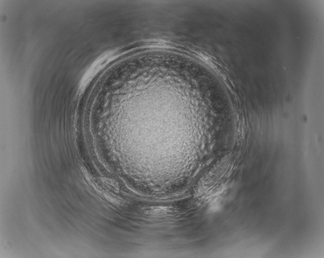 X0000054370151200508011229