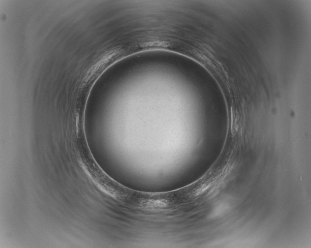 X0000054370157200508011230