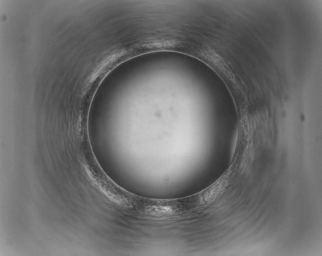 X0000054370159200508011230