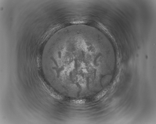 X0000054370161200508011230