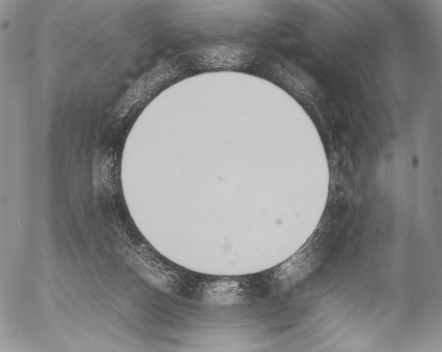 X0000054370162200508011230