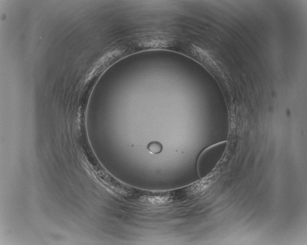 X0000054370163200508011230