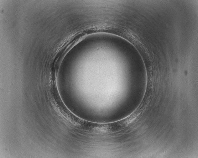 X0000054370164200508011230