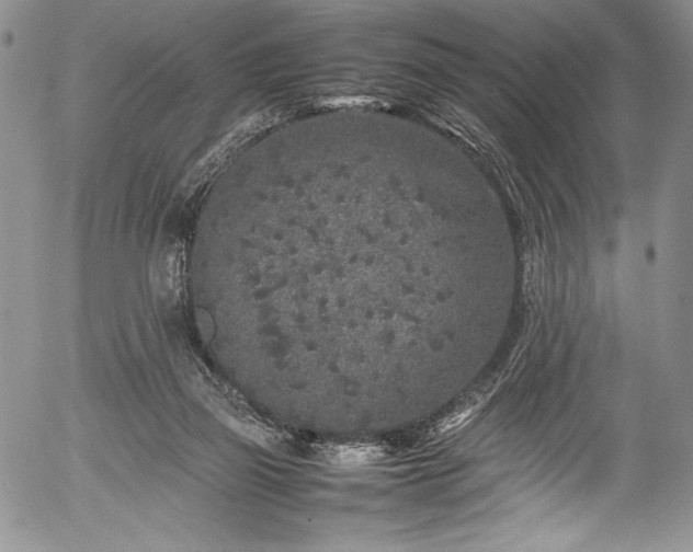 X0000054370165200508011230