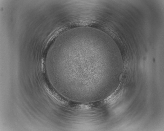 X0000054370166200508011230