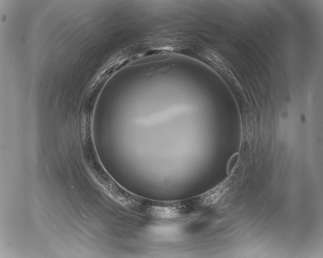 X0000054370167200508011230