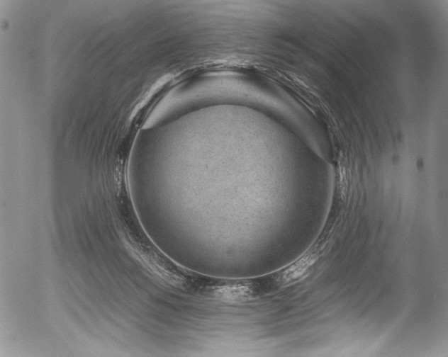 X0000054370168200508011230