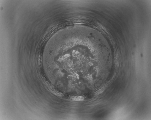 X0000054370169200508011230