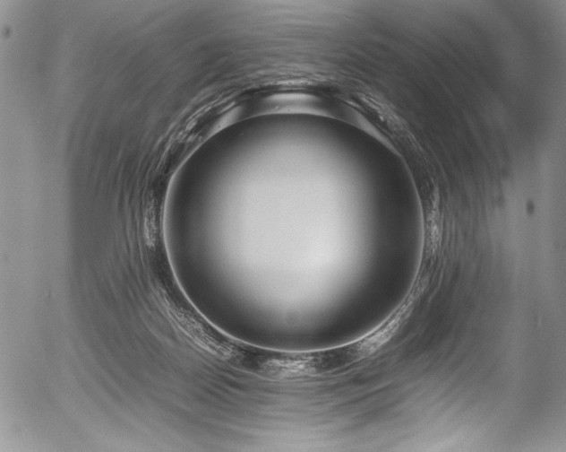 X0000054370170200508011230