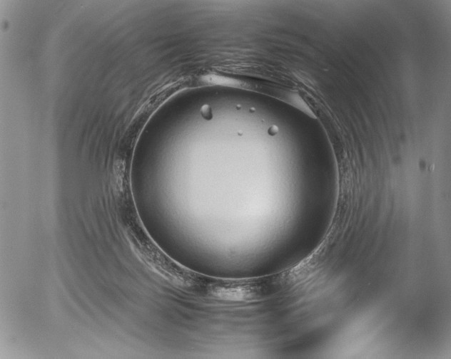 X0000054370171200508011230