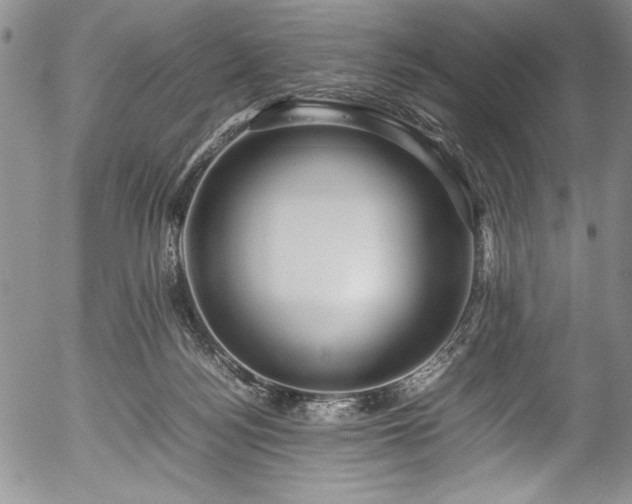 X0000054370172200508011230