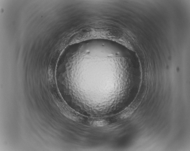 X0000054370173200508011230