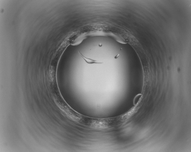 X0000054370174200508011230