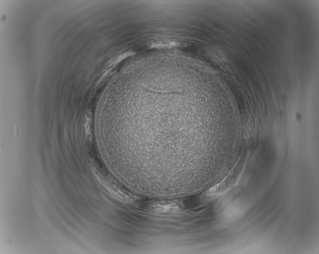 X0000054370175200508011230