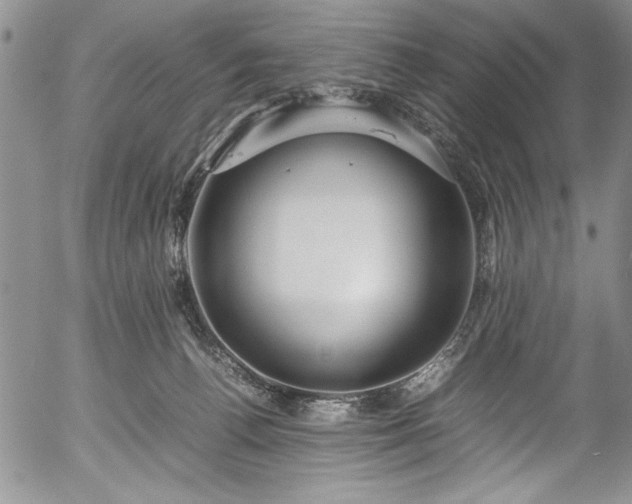 X0000054370176200508011230