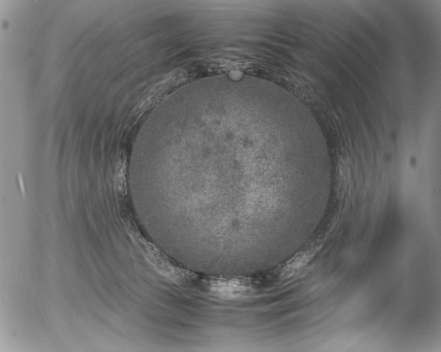 X0000054370177200508011230