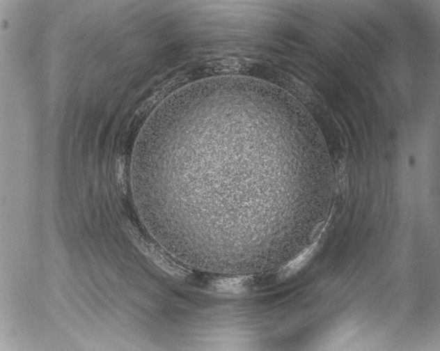 X0000054370178200508011230