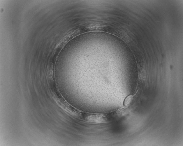 X0000054370179200508011230