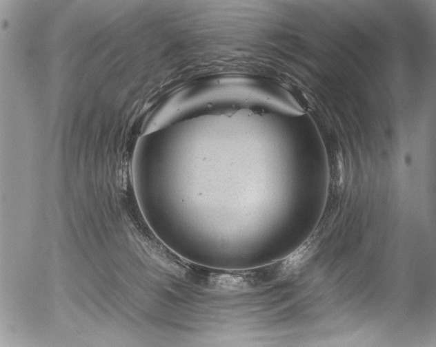 X0000054370180200508011230