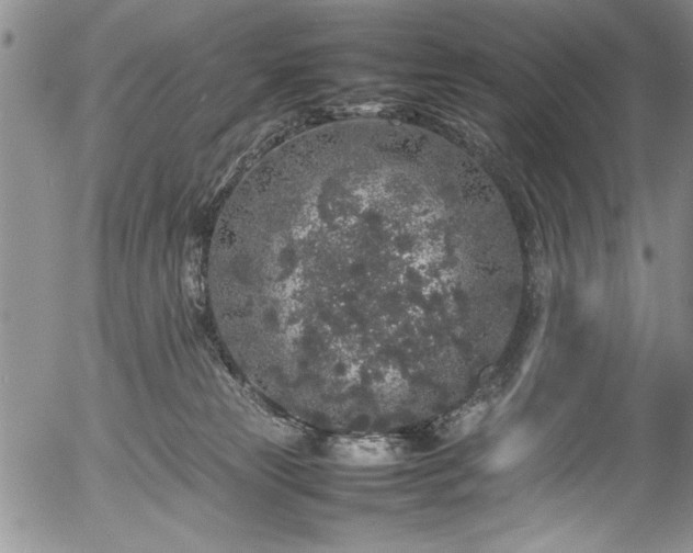 X0000054370181200508011230