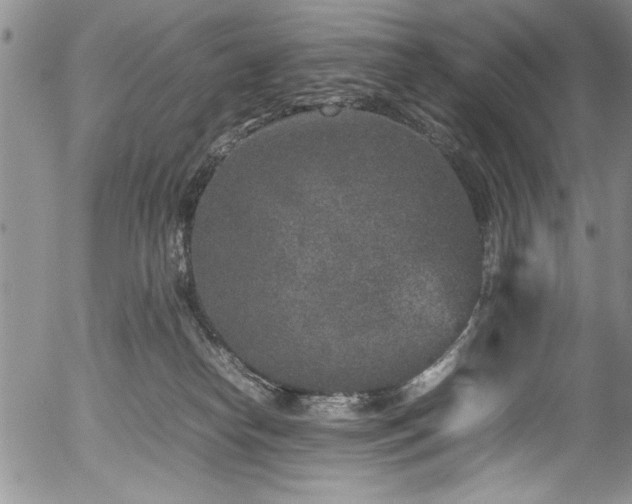 X0000054370182200508011230