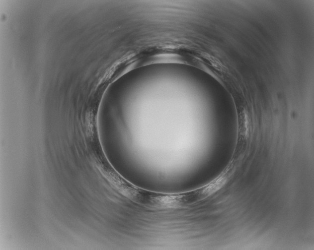 X0000054370184200508011230