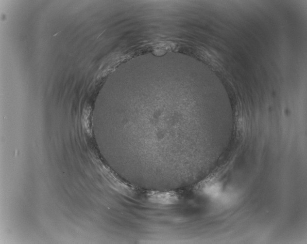 X0000054370185200508011230