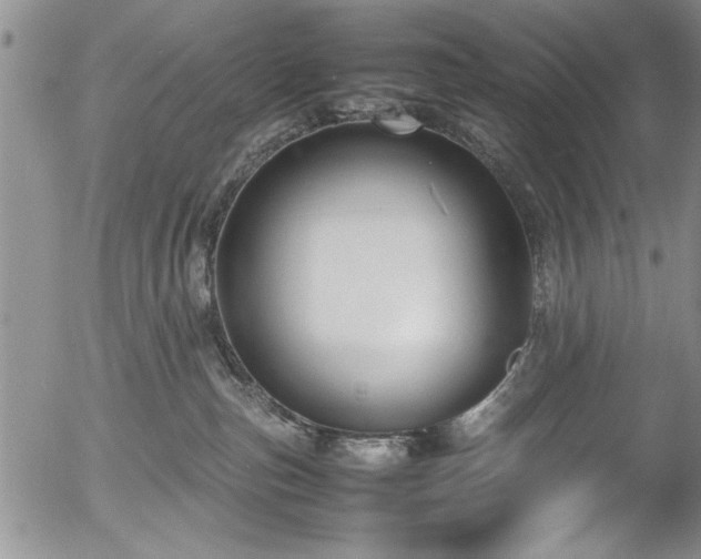 X0000054370187200508011230