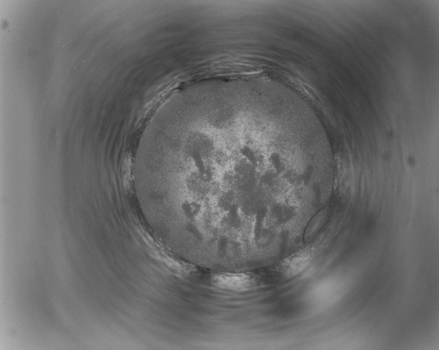 X0000054370189200508011230