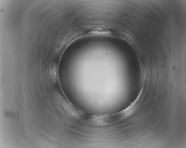 X0000054370190200508011230