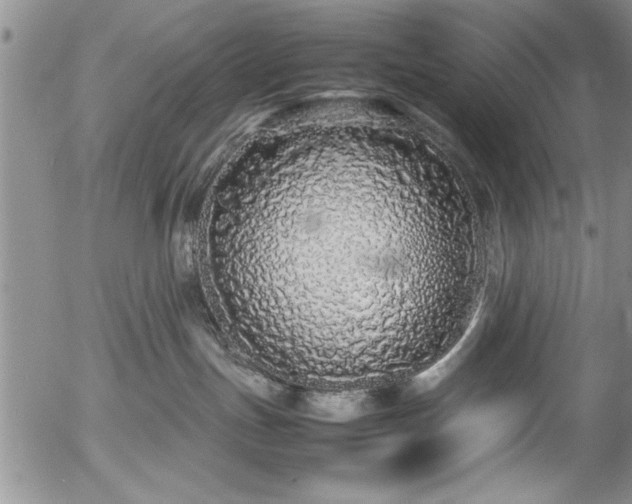 X0000054370191200508011230