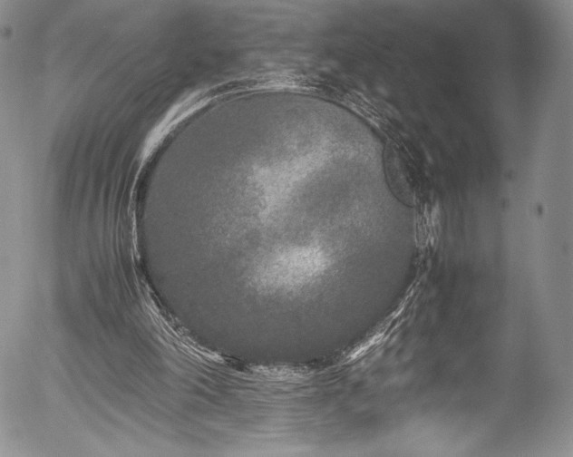 X0000054370198200508011229