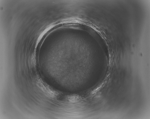 X0000054370200200508011229