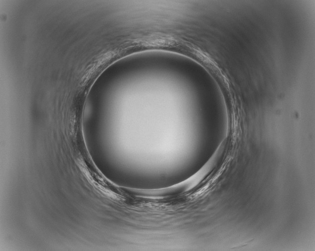 X0000054370201200508011229