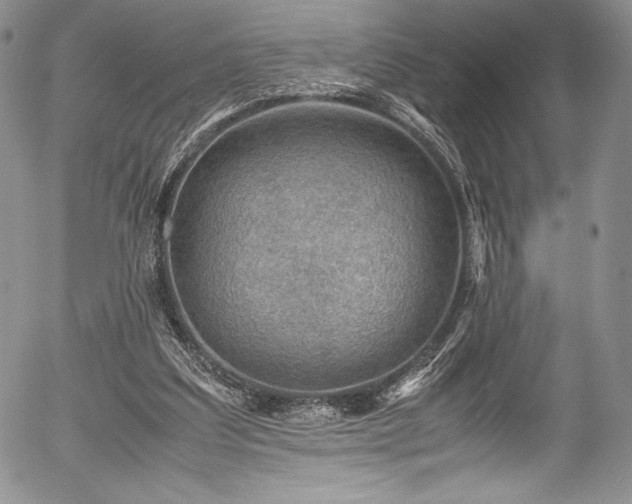 X0000054370203200508011229