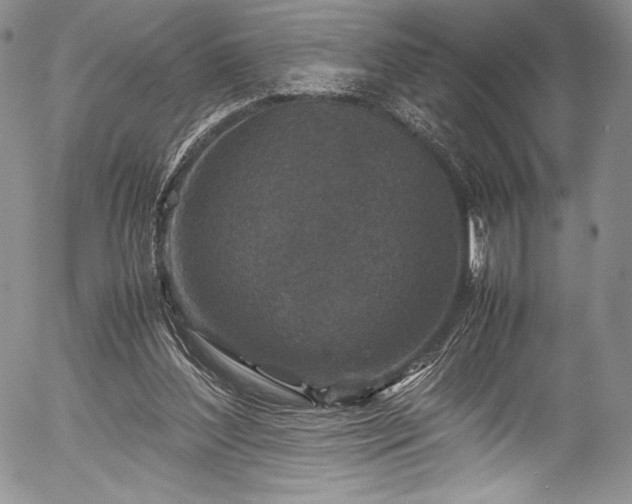 X0000054370204200508011229