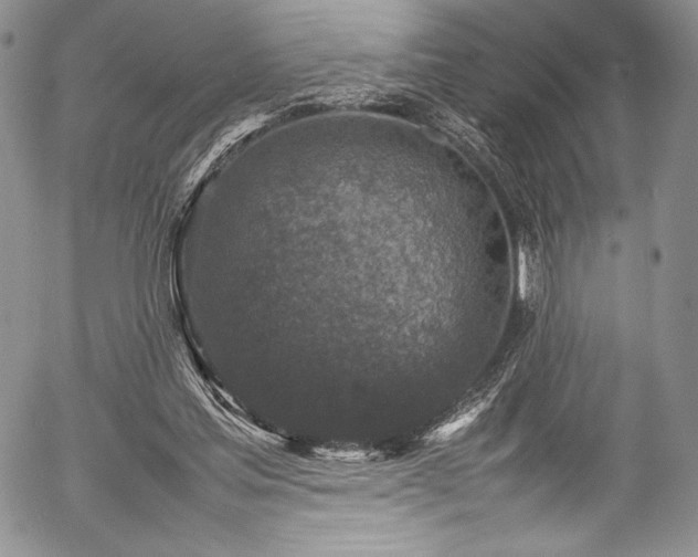 X0000054370205200508011229