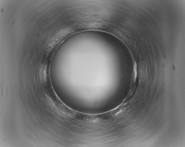 X0000054370206200508011229