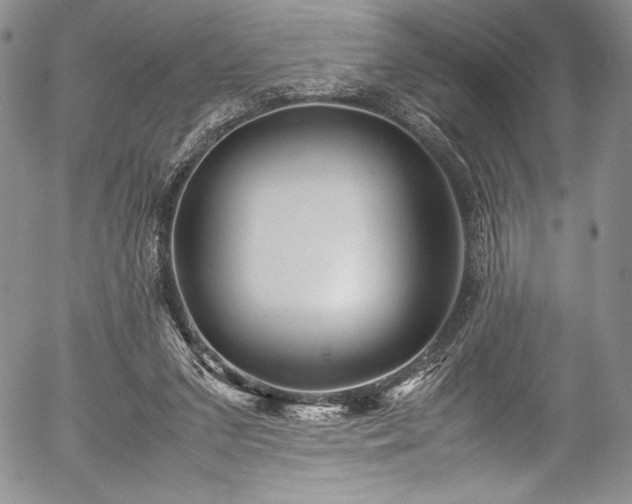 X0000054370207200508011229