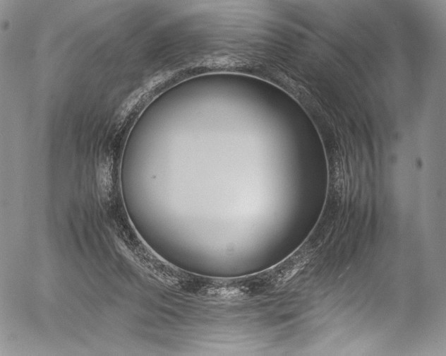 X0000054370208200508011229