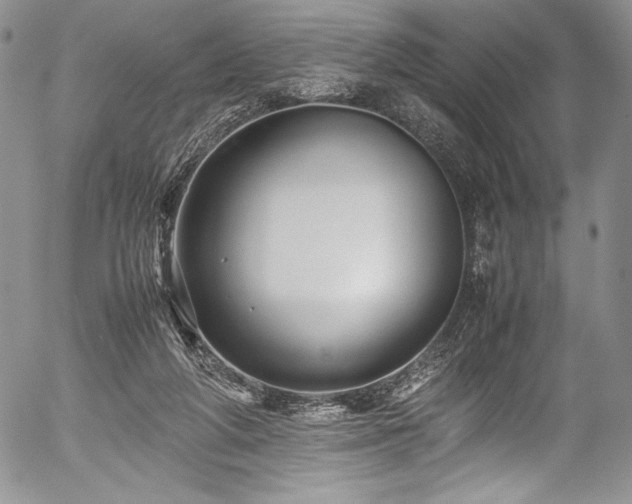 X0000054370210200508011229