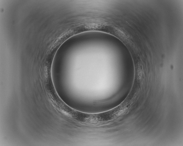 X0000054370211200508011229