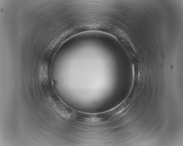 X0000054370212200508011229