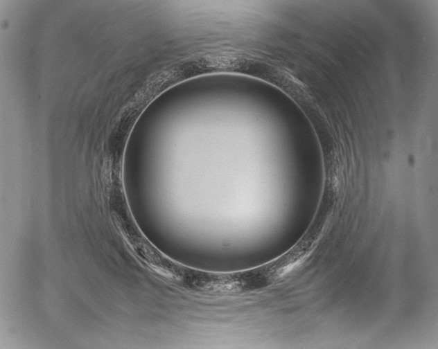 X0000054370213200508011229