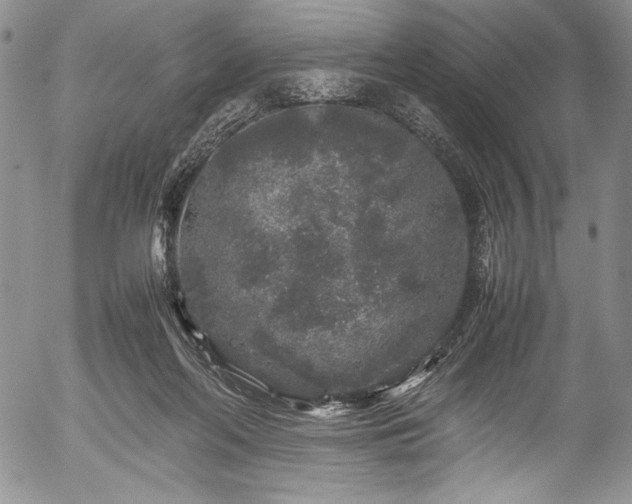 X0000054370214200508011229