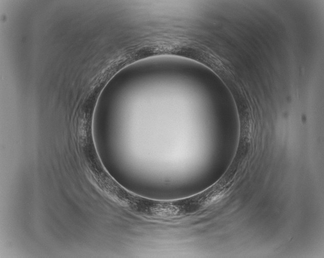 X0000054370215200508011229