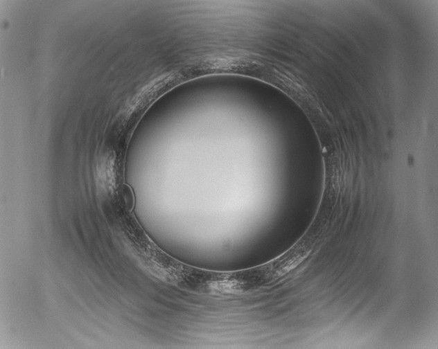 X0000054370216200508011229