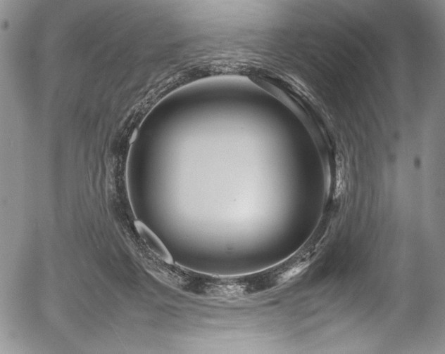 X0000054370217200508011229